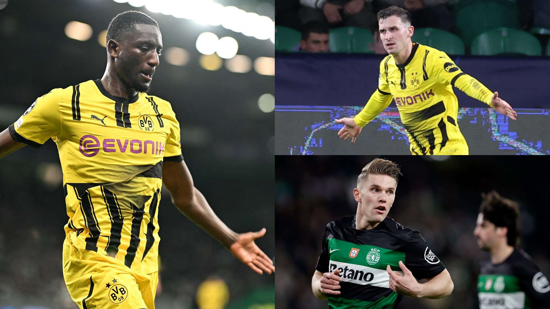 无论是安切 无论是安切