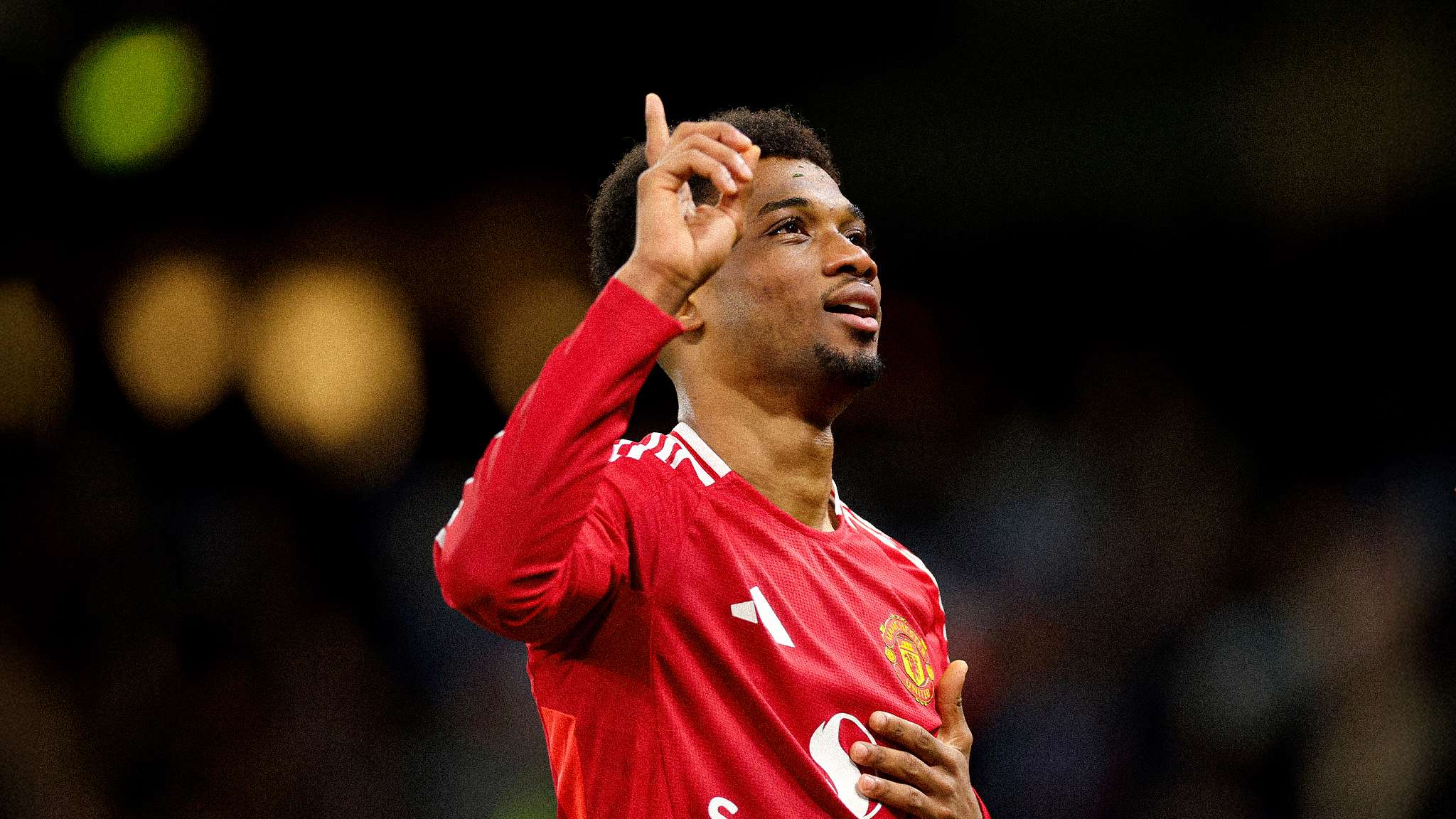 他们都特别 他们都特别