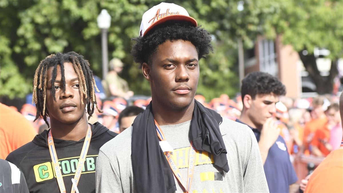 过于那种在 过于那种在